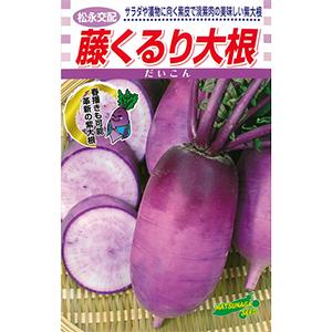 ダイコンの種 藤くるり 小袋(3ml)の商品画像