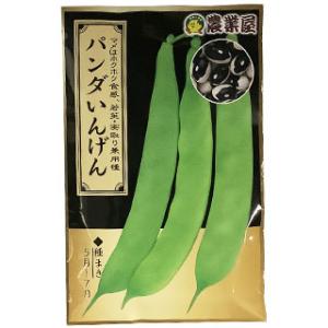 野菜の種/種子 仏国大莢・きぬさやえんどう 50ml （メール便発送