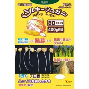 トウモロコシの種 ミルキーシュガー80 2000粒