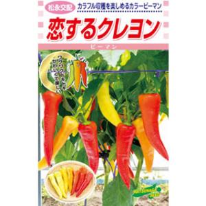 ピーマンの種 カラーピーマン　恋するクレヨン 小袋