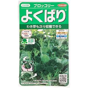 ブロッコリーの種 よくばり 実咲小袋 野菜の種