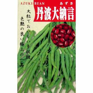 小豆の種 丹波大納言 ( あずき ) 小袋(50ml)｜菜園くらぶ Yahoo!店