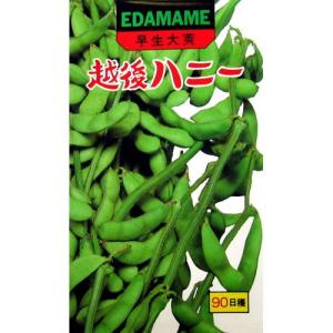 枝豆の種 越後ハニー 50ml