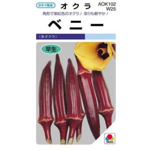 オクラの種 赤オクラベニー 小袋(GF 115粒)