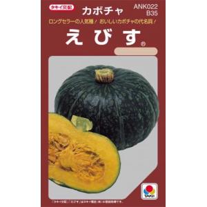 カボチャの種 えびす 小袋(RF 13粒)の商品画像