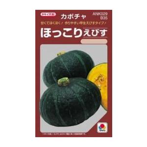カボチャの種 ほっこりえびす 小袋(RF 9粒) : 菜園くらぶ Yahoo!店
