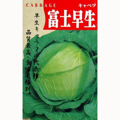 キャベツの種 富士早生 小袋 約1.5ml ( 野菜の種 )