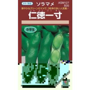 そら豆の種 初姫 小袋（9粒） : 菜園くらぶ Yahoo!店 - 通販 - Yahoo