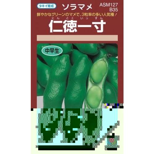 そら豆の種 仁徳一寸 小袋 RF