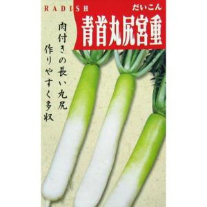 大根の種 青首丸尻宮重 10ml ( 野菜の種 )の商品画像