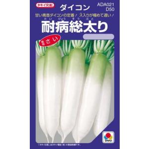 大根の種 耐病総太り 小袋 DF