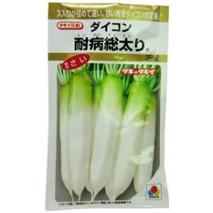 ねぎ 羽緑一本太葱ペレット種子 5000粒 （株）トーホク : グリーン