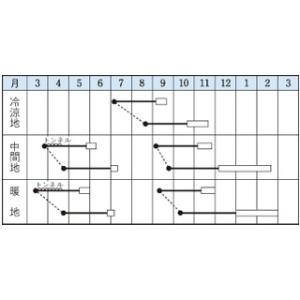 大根の種 耐病総太り 35ml ( 野菜の種 )の詳細画像1