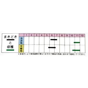 大豆の種 丹波黒大豆 小袋(70ml)の詳細画像1