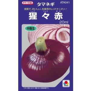 玉ねぎの種 猩々赤 20ml ( 野菜の種 )