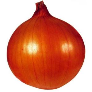 玉ねぎの種 ソニック 20ml ( 野菜の種 )