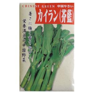 SK9-099 ブロッコリー種子 ペレット5000粒 【野菜種子】【サカタのタネ