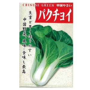 ちんげん菜の種 パクチョイ 8mlの商品画像