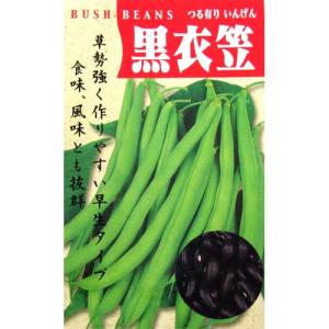 SK9-099 ブロッコリー種子 2000粒 【野菜種子】【サカタのタネ