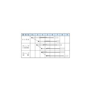 冬瓜の種 大丸とうがん 小袋の詳細画像1
