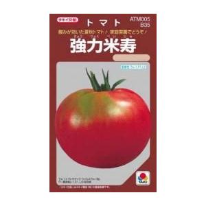 大玉トマトの種 強力米寿 小袋(58粒)｜saien-club