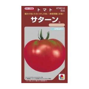 大玉トマトの種 サターン 小袋(45粒)｜saien-club