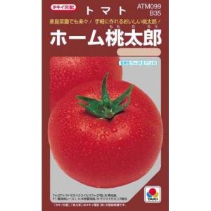 大玉トマトの種 トマト ホーム桃太郎　DF 小袋(45粒)｜saien-club