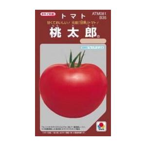 トマトの種 サンマルツァーノリゼルバ 1,000粒 ( 野菜の種 ) : 菜園