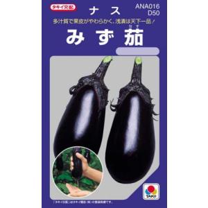 ナスの種 みず茄 小袋(50粒)の商品画像