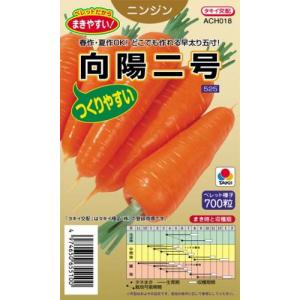 恋うさぎ 人参種子 コート250粒 【ナント交配】 : 吉谷農芸Yahoo!店