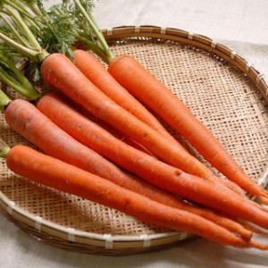 人参の種 国分鮮紅大長 小袋 約8ml ( 野菜の種 )