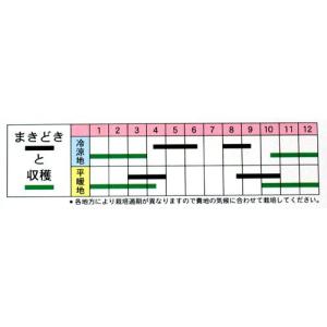 ネギの種 ネギの種 石倉根深太 小袋 ( 野菜...の詳細画像1