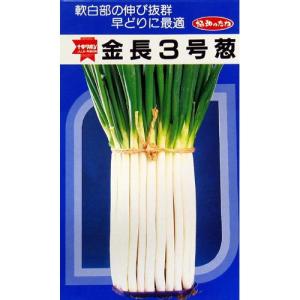 ハナコ　ネギ種子3品種 ハナコ ネギ種子3品種 ハナコ ネギ種子3品種 ハナコ ネギ種子3品種 ハナコ