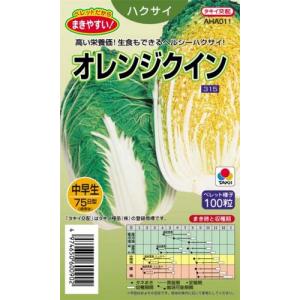 白菜の種 オレンジクイン ペレット100粒 ( 野菜の種 )
