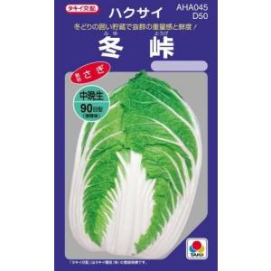 白菜の種 冬峠 ＤＦ 2.5ml ( 野菜の種 )