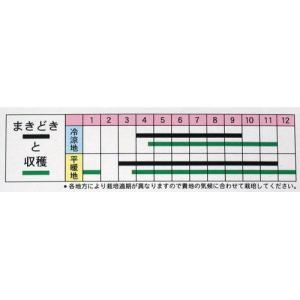 つまみ葉 (葉大根の種) 小袋 約20ml (...の詳細画像1