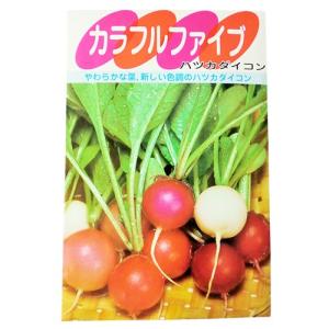 二十日大根の種 カラフルファイブ 小袋 約6ml ( 野菜の種 )｜saien-club