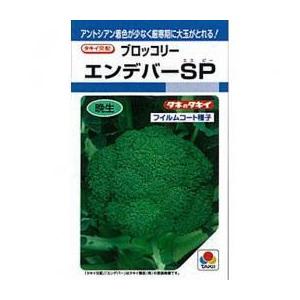 ブロッコリーの種 エンデバーSP 小袋(DF 150粒)