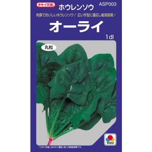 ほうれん草の種 オーライ 1dl ( 野菜の種 )