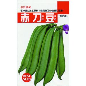 ナタマメの種 赤刀豆 小袋の商品画像
