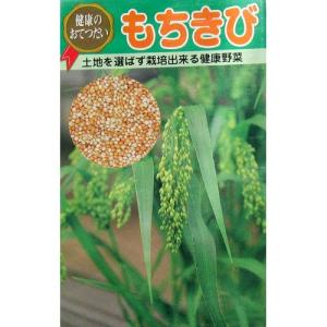 もちきび (雑穀の種) 小袋  ( 野菜の種 )