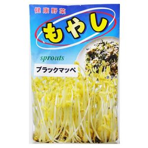 スプラウトの種 モヤシ ブラックマッペ 50ml ( 野菜の種 )｜菜園くらぶ Yahoo!店