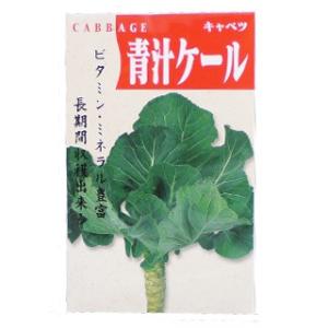 青汁ケール (ケールの種) 小袋 約4ml ( 野菜の種 )