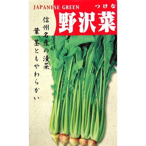 野沢菜 (漬け菜の種) 小袋 約8ml ( 野菜の種 )