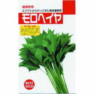 モロヘイヤの種 小袋 約1ml ( 野菜の種 )