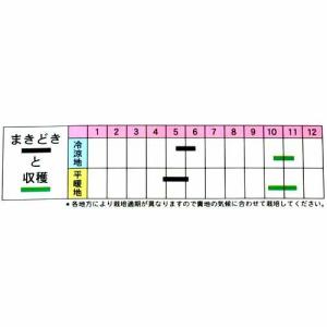 落花生の種 立性落花生 小袋(50ml)の詳細画像1