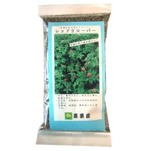 赤クローバー 数量 250g 牧草 緑肥 景観用 種子の商品画像