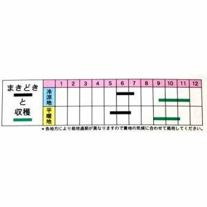 大豆の種 白大豆 (ふくゆたか) 70mlの詳細画像1