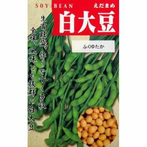 大豆種 白大豆 ( だいずの種 ) 小袋 約5dl 家庭菜園 ガーデニングにおすすめの 野菜種♪ ( 野菜の種 )