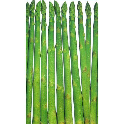 アスパラガスの種 ウェルカム 小袋 ( 野菜の種 )